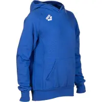 Arena Sweatshirt à capuche enfant Team Panel