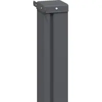 vidaXL Store enrouleur latéral, extensible, 100 x 300 cm