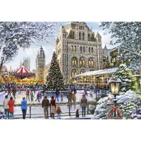 Bluebird Puzzle Puzzle Skating Outside Natural History Museum - 1000 pièces