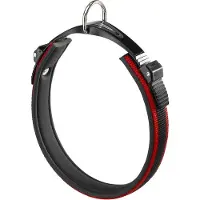 Ferplast Ergocomfort C20/45 Dog Collar Argenté
