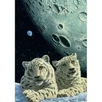 Grafika Puzzle Schim Schimmel - Lair of the Snow Leopard - 1500 pièces