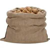 vidaXL Sacs en jute 10 pcs. 100x110 cm 100% jute 340 g/m