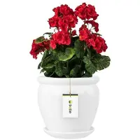 BOTLE Pot De Fleur Blanc Avec Soucoupe Rond Dimensions 220 Mm X 240 Mm Surface Brillant Céramique Glamour Moderne