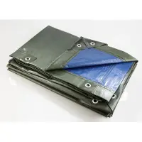 Westfalia Tarpaulin, green/blue, super strong 250 g/m², 3 x 4 m