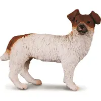 Collecta Jack russell teriér