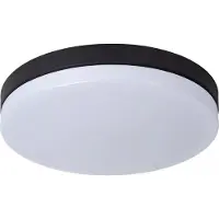 Lucide Plafonnier de salle de bain 40 cm LED 36 W noir rond BISKIT