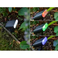 Lutec Lampe solaire de jardin Ginbo Malin