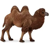 Collecta Chameau de Bactriane Figurine de décoration Animaux sauvages