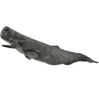 Collecta Casalot Baleine - Figurine d'animal