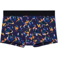 Hom Boxer court