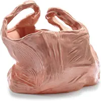 Serax Gala Vase Pink | L