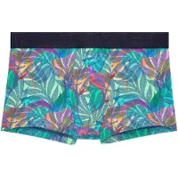 Hom Boxer court