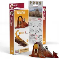 Eugy 3D Bastelset Walross (Miniatur-Tierfigur, aus Wellkarton) 650107