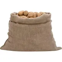 vidaXL Sacs en jute 10 pcs. 100x110 cm 100% jute 220 g/m