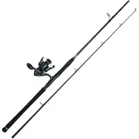 MADCAT Silure Spinning Combo Argenté 2.40 m / 50-150 g