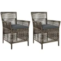 vidaXL Chaise de jardin avec coussins, lot de 2, gris et gris foncé, en polyrotin