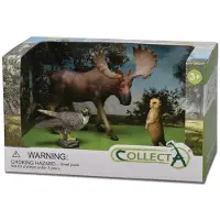 Collecta Wild Animals : coffret cadeau 3 pièces