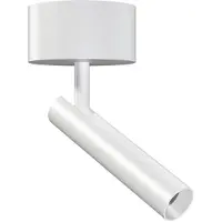 Beneito Faure Alp Projecteur de Surface Ajustable et Rotatif White | 3000 K