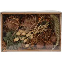 Koopmann Mélange de fleurs séchées pour décoration intérieure dans une boîte naturelle