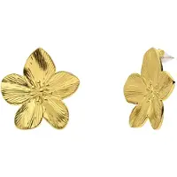 Lucardi Boucles d'oreilles 'Chic' or