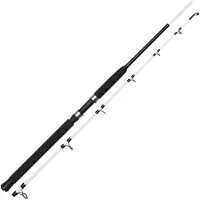 Kinetic Witcher Salt Cc Sea Trolling Rod Argenté 1.80 m / 300-600 g