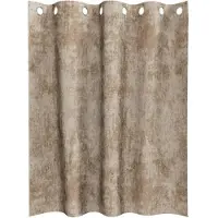 vidaXL Rideaux en velours 2 pcs Champagne 140 x 140 cm Velours