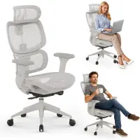 Sense7 Nobu Chaise de bureau ergonomique Chaise de bureau dossier réglable accoudoirs et appuie-tête jusqu'à 130 kg Gris clair Chaise d'ordinateur Chaise de jeu