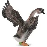 Collecta Houser