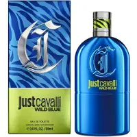 Roberto Cavalli Just Cavalli Wild Blue Eau de Toilette 90 ml