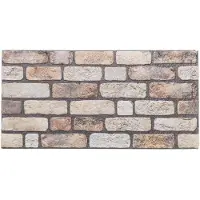 vidaXL Panneaux muraux , 10 pièces, marron clair, 100 x 50 cm, mousse EPS