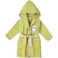 Interbaby Bathrobe Vert 14-16 Years Garçon