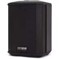 Aiwa Haut-parleur Ax-1pro