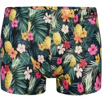 Olaf Benz Shorts de bain ' BLU2553 Beachpants ' vert / mélange de couleurs