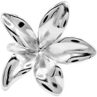 Heidemann Bague argent