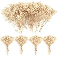 Unyqoos : Gypsophile séchée (également appelée "dentelle d'ange"), couleur ivoire – 70 tiges, environ 15 cm | Fleurs décoratives et pour travaux manuels, idéales pour les mariages et les couronnes