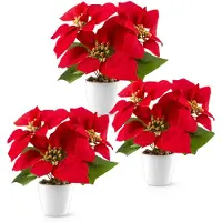 Unyqoos : Ensemble de 3 étoiles de Noël artificielles dans des pots en céramique blanche brillante – Décoration festive et facile d'entretien pour fenêtres et tables