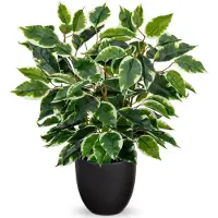 Unyqoos Ficus artificiel en pot, plante artificielle réaliste de 40 cm, avec des feuilles vert clair, pot de 12 x 10,5 cm, facile d'entretien, idéal pour le salon et le bureau