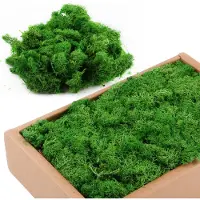 Unyqoos Mousse artificielle, 200 g – vert foncé, ne nécessite aucun entretien, mousse décorative et pour travaux manuels, idéale pour les compositions florales et la décoration murale