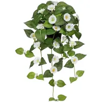Unyqoos : plante artificielle suspendue avec fleurs – plante grimpante réaliste pour intérieur, 65 cm, couleur fuchsia, incluant un pot en plastique, entretien facile