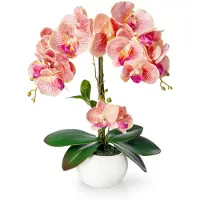 Unyqoos : orchidée artificielle, facile d'entretien, 40 cm, dans un pot en céramique blanche à finition brillante
