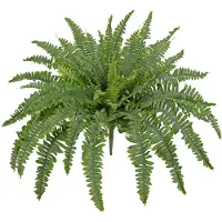 Unyqoos Fougère artificielle, 85 cm – Grande fougère de Boston artificielle, très réaliste, avec 60 feuilles, facile d'entretien, idéale pour la décoration intérieure et extérieure