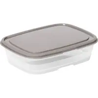 Smartstore 797770 boîte fraîcheur, 1,0 litre, gris / transparent