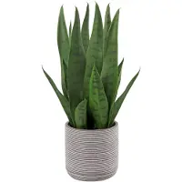 Unyqoos : Plante artificielle Sansevieria réaliste, présentée dans un pot en ciment – Décoration facile d'entretien pour le salon et le bureau
