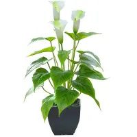 Unyqoos : Faux lys calla - Plante décorative de 38,1 cm avec un pot noir, en plastique et avec des feuilles en soie, aspect réaliste, ne nécessite aucun entretien