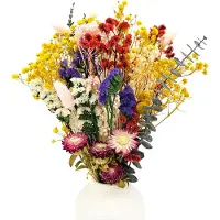 Unyqoos Bouquet de fleurs séchées – 32 pièces, 12 variétés, 100 % fleurs naturelles | Décoration bohème pour la maison et les mariages (eucalyptus, statice, lavande)