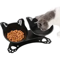 Unyqoos Ensemble 2-en-1 de gamelle et de abreuvoir pour chat et petit chien, avec des bols transparents, une inclinaison ergonomique de 15°, amovible, base antidérapante, et matériaux non toxiques