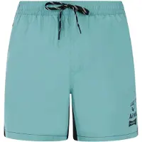 Protest Ben Swimming Shorts Vert S Homme