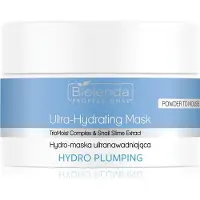 Bielenda Hydro Plumping masque hydratant pour la régénération de la peau 100 g