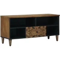 vidaXL Meuble TV marron, 100 x 33,5 x 46 cm, en bois massif de mangue