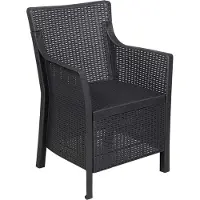vidaXL Fauteuil anthracite en PP
